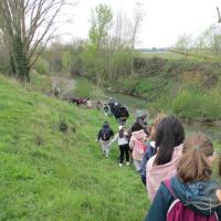 Animation scolaire au bord de l'Hers