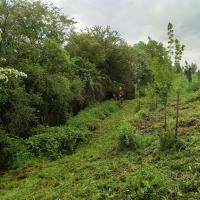 Photo de l'intervention de l'équipe rivière sur le site renaturé de St Pierre de Lages