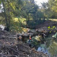 Entretien des berges du Girou à St Marcel Paulel