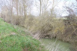 Photo Gragnague aval - avant travaux