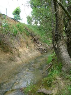 Photo de la Marcaissonne avant travaux en 2011 à l'aval de la RD16