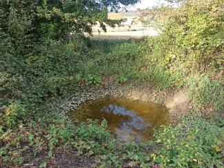 photo de la mare après travaux (novembre 2024)