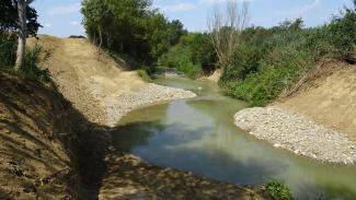 vue des berges et du lit de l'Hers à Deyme, après travaux (juin 2024)