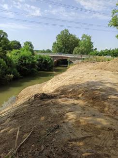 Photo des berges du Girou à Villeneuve-les-Bouloc après dessouchage des ailantes.s