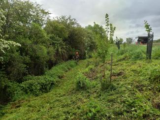 Photo de l'intervention de l'équipe rivière sur le site renaturé de St Pierre de Lages