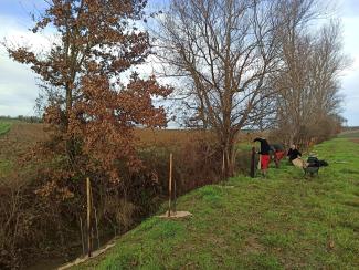 photo du chantier de plantations de la Sausse à Gauré