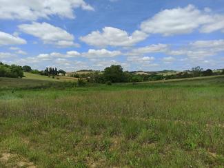 Exemple de zone humide sur le bassin versant de l'Hers