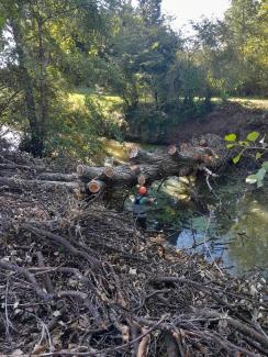 Entretien des berges du Girou à St Marcel Paulel
